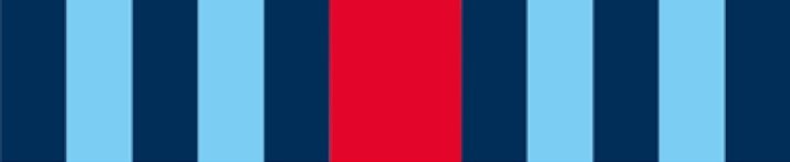 martini flag